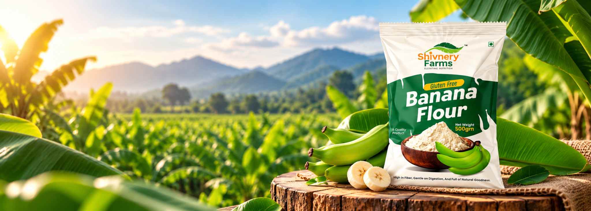 Banana Flour